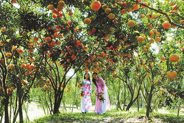 địa điểm du lịch Cần Thơ