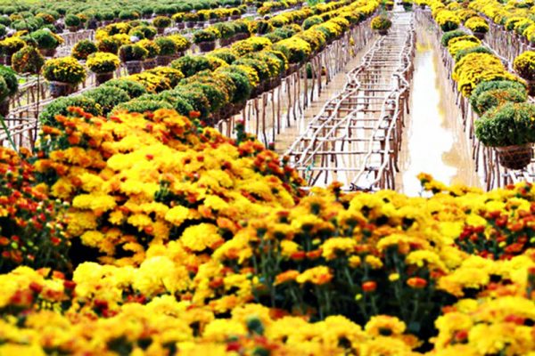 địa điểm du lịch Cần Thơ